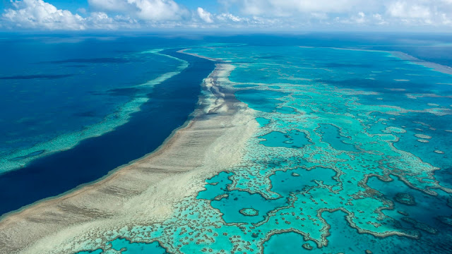 great barrier reef Australia
