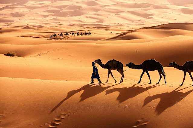 SAHARA DESERT TOP 10 PLACES
