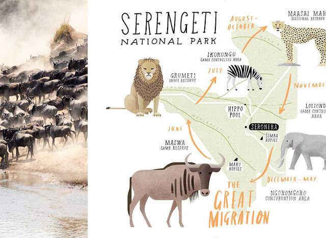  Serengeti National Park Tanzania  
